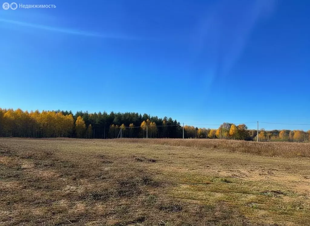Участок в Щёкинский район, сельское поселение Яснополянское, деревня ... - Фото 1