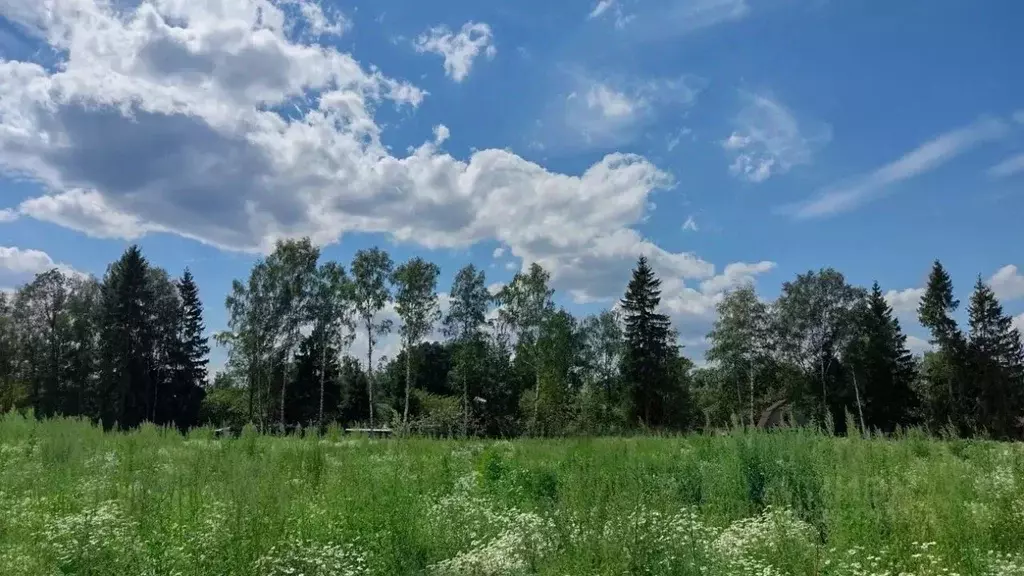 Участок в Московская область, Одинцовский городской округ, с. ... - Фото 0