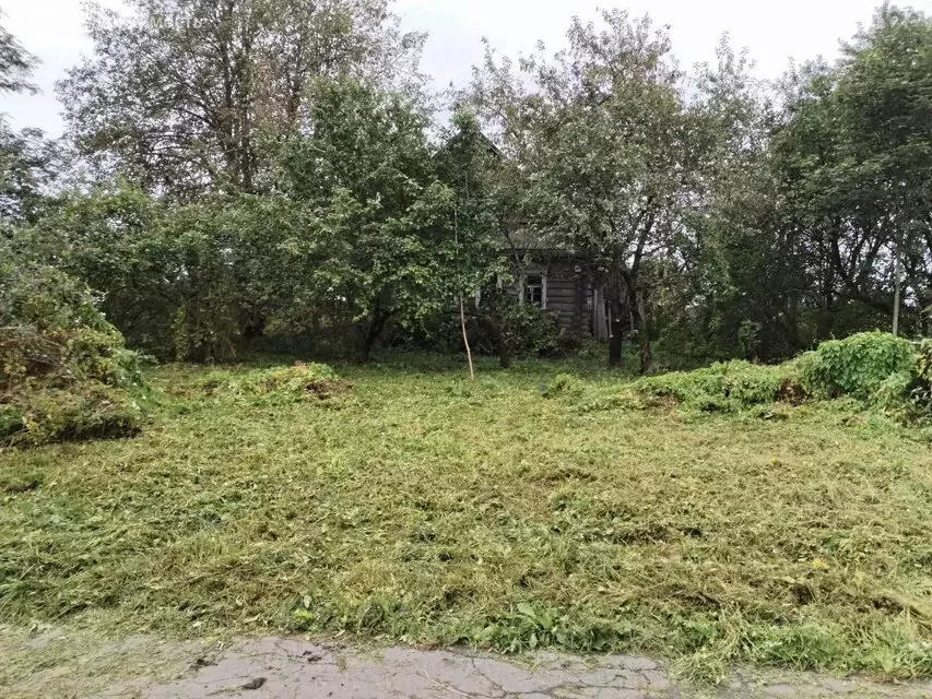 Дом в Волосовский район, Рабитицкое сельское поселение, деревня ... - Фото 2