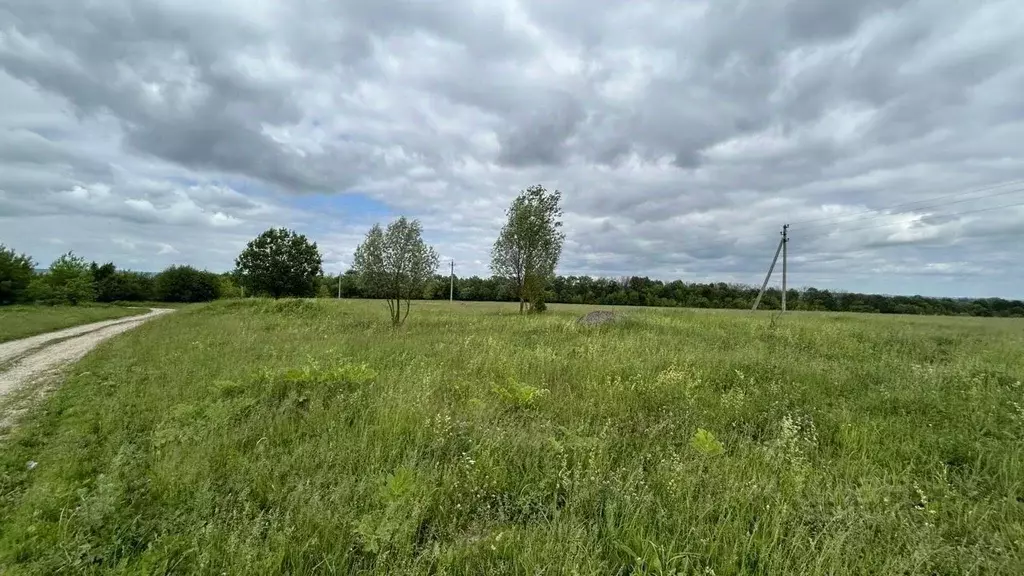 Участок в Тульская область, Тула городской округ, д. Помогалово  ... - Фото 1