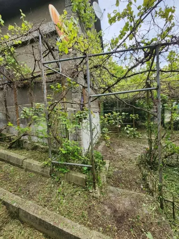 Участок в Краснодарский край, Сочи городской округ, с. Высокое, ... - Фото 1