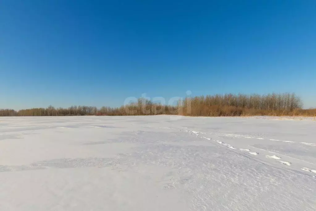 Участок в Тюменская область, Тюмень  (7.48 сот.) - Фото 0