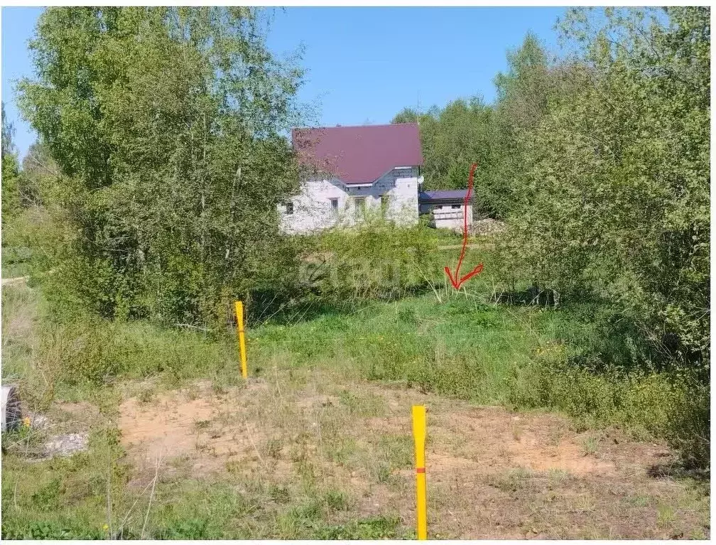 Участок в Костромская область, Костромской район, с. Сущево Советская ... - Фото 1