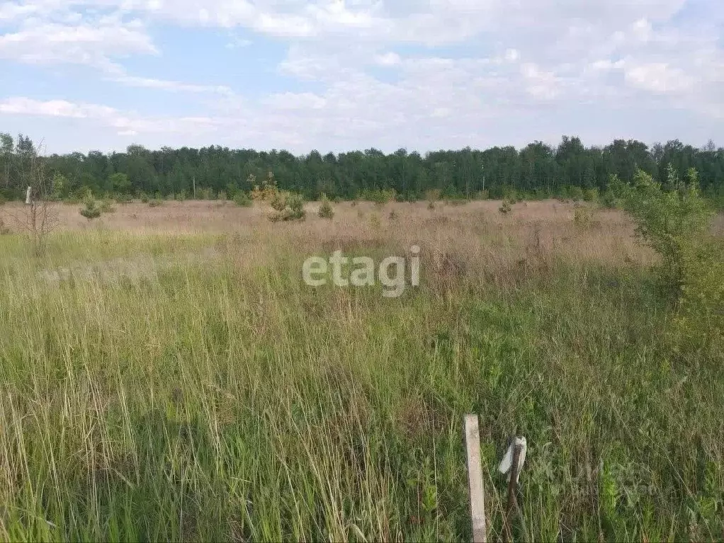 Участок в Белгородская область, Старооскольский городской округ, с. ... - Фото 0