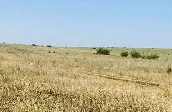 Участок в Крым, Сакский район, с. Ивановка  (100.0 сот.) - Фото 2