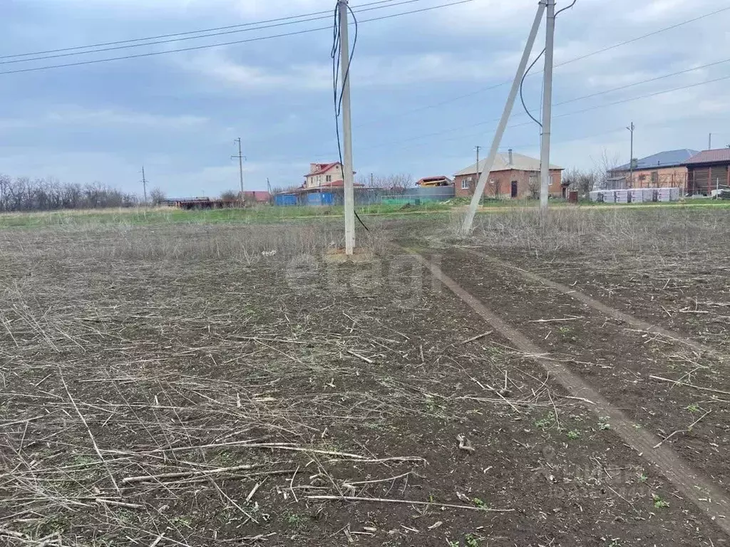 Участок в Ростовская область, Мясниковский район, с. Большие Салы ул. ... - Фото 2