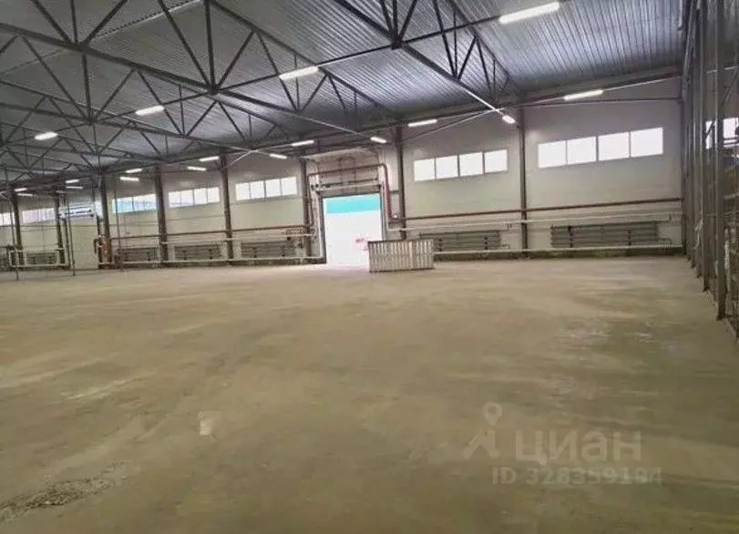Склад в Ленинградская область, Кудрово г. Всеволожский район, ... - Фото 1