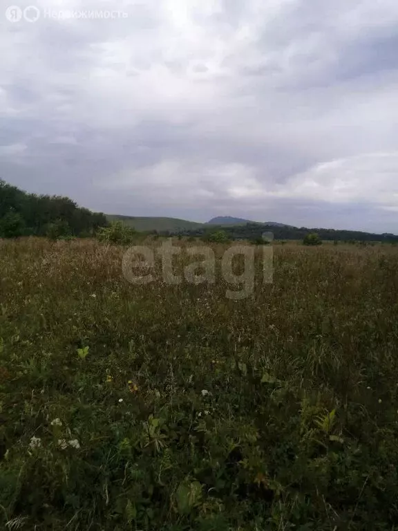 Участок в Советский район, село Платово (12 м) - Фото 1