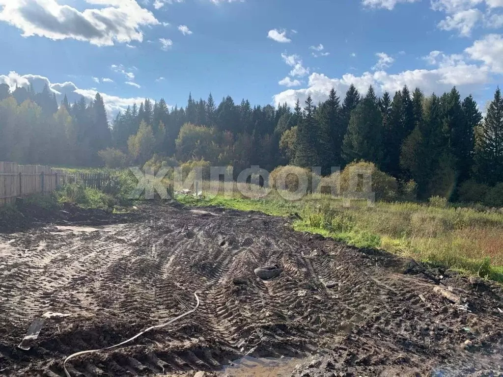 Участок в Томская область, Томский район, с. Корнилово ... - Фото 1