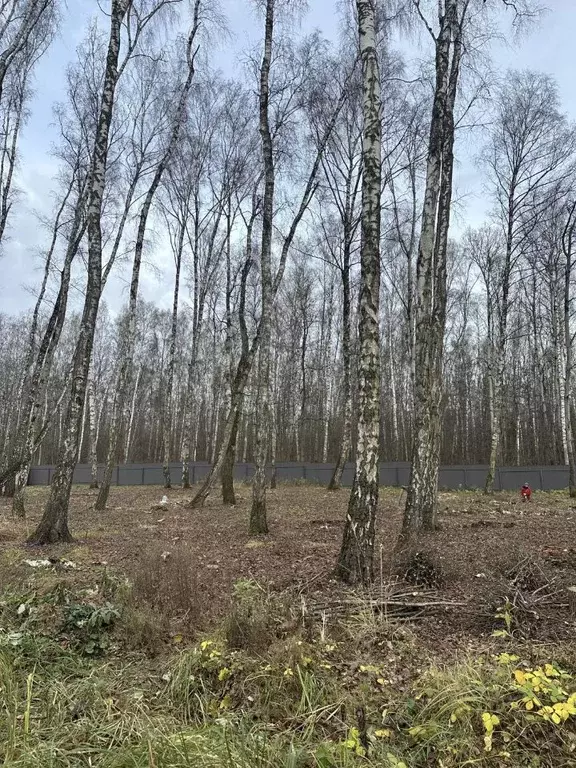 Участок в Московская область, Домодедово КП Данилово Парк тер., 283 ... - Фото 2