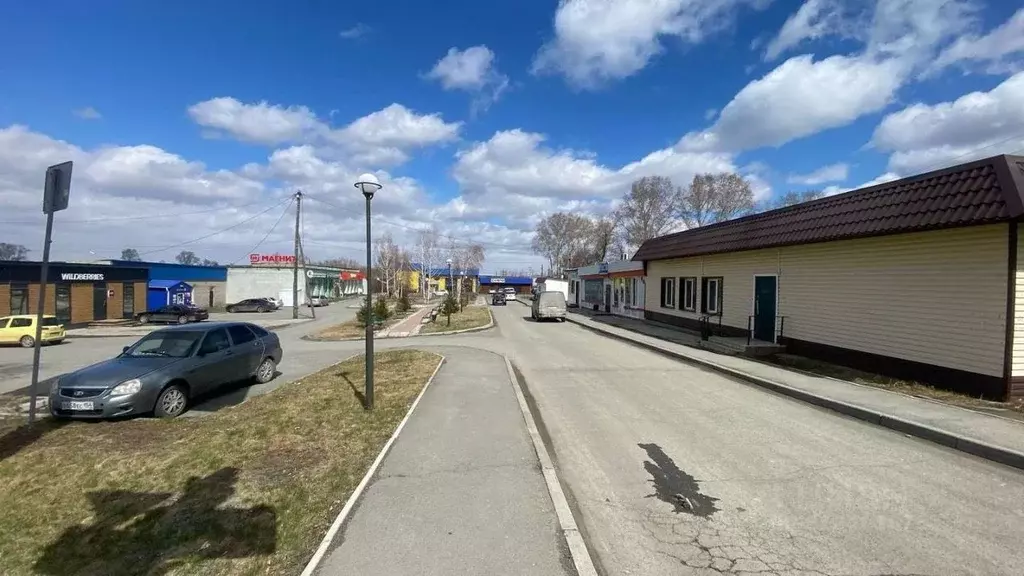 Помещение свободного назначения в Новосибирская область, Тогучин ул. ... - Фото 0
