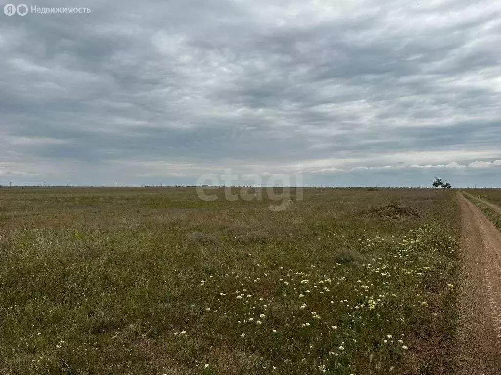 Участок в Первомайский район, Сусанинское сельское поселение, село ... - Фото 2
