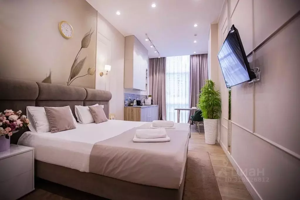 1-к кв. Краснодарский край, Сочи Центральный мкр, ул. Навагинская, ... - Фото 1