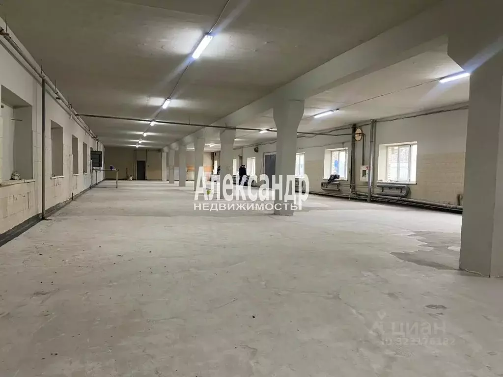 Производственное помещение в Санкт-Петербург Пискаревский просп., 123 ... - Фото 1