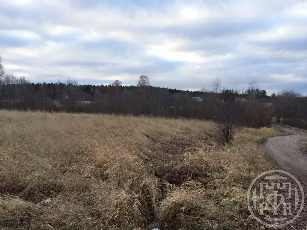 Участок в Ленинградская область, Выборгский район, Полянское с/пос, д. ... - Фото 2