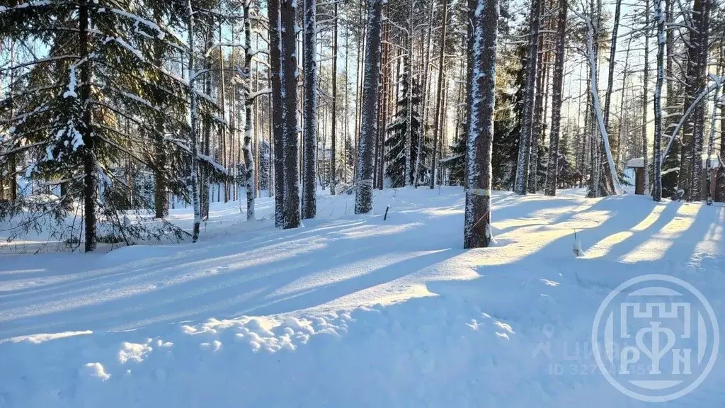 Участок в Ленинградская область, Всеволожский район, Куйвозовское ... - Фото 1