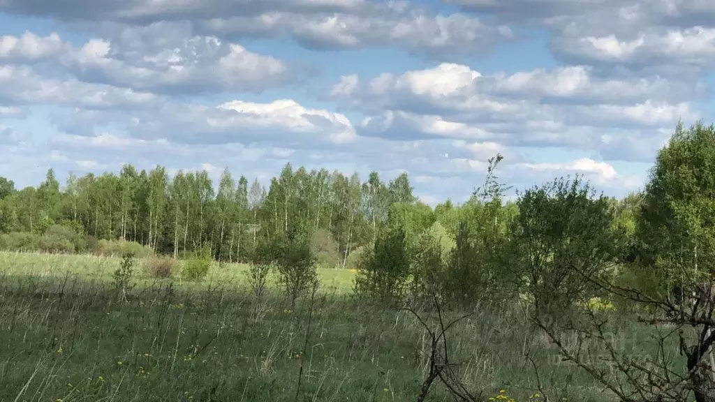 Участок в Московская область, Можайский муниципальный округ, д. ... - Фото 0