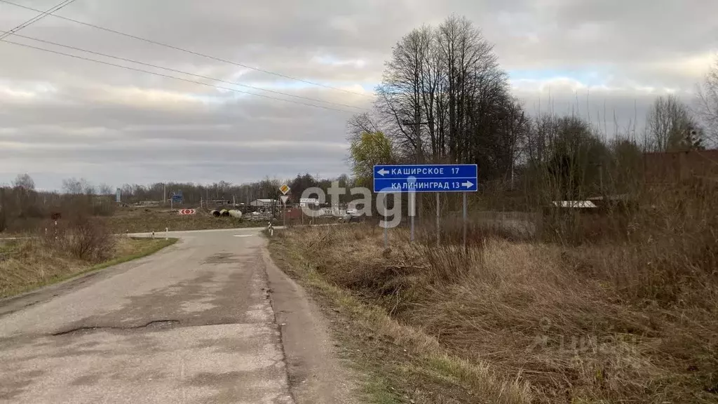 Участок в Калининградская область, Гурьевск Клубничка СНТ, ул. ... - Фото 0