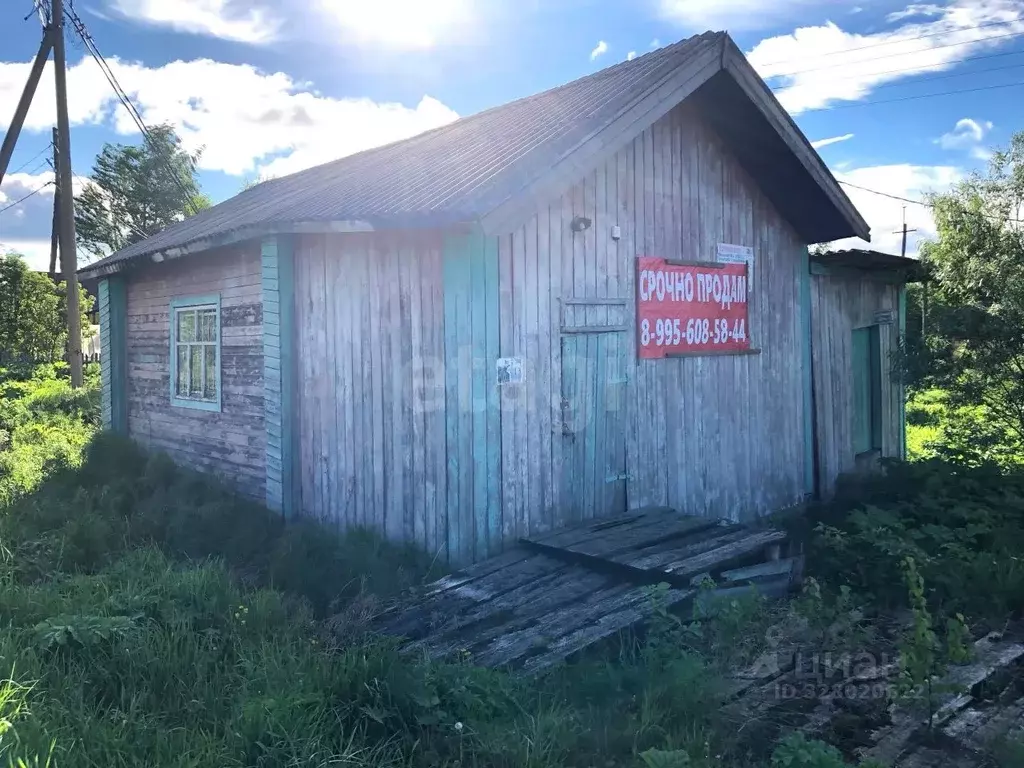 Участок в Коми, Корткеросский муниципальный район, Маджа муниципальное ... - Фото 2
