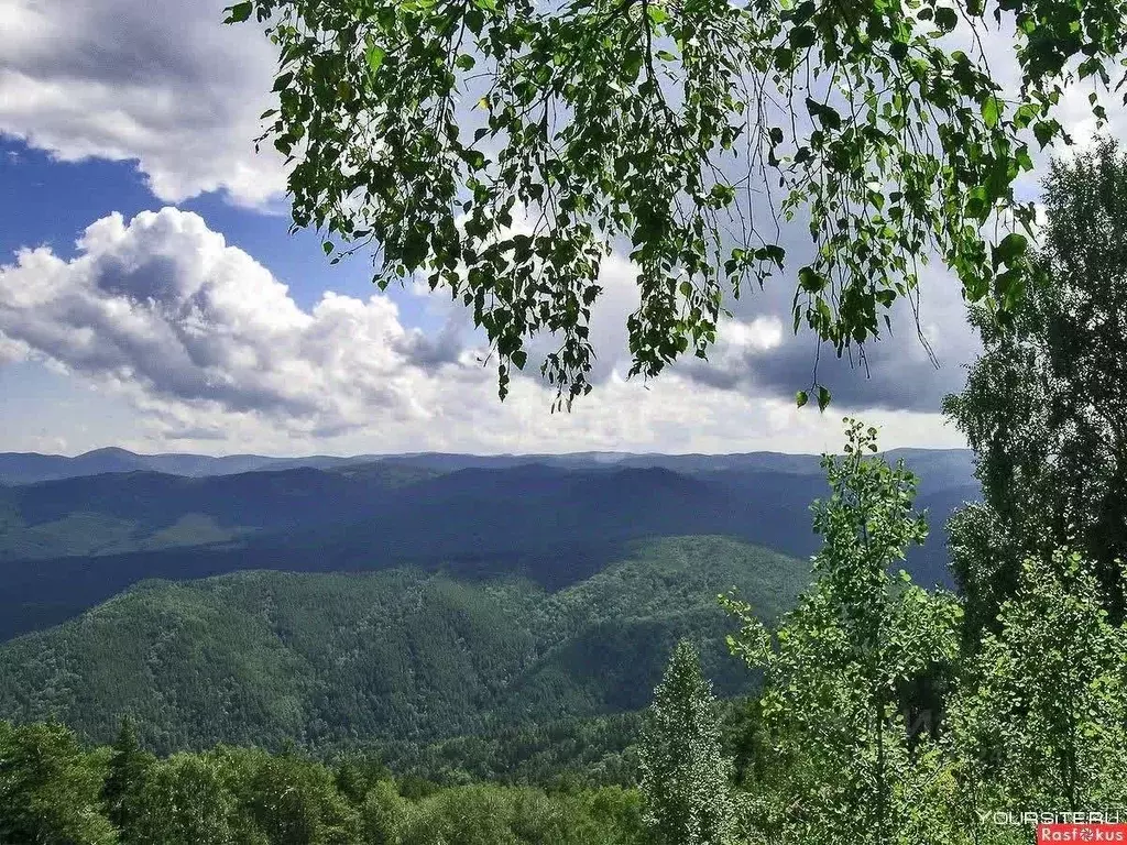 Участок в Алтайский край, Белокуриха Успенская ул., 40 (11.6 сот.) - Фото 0