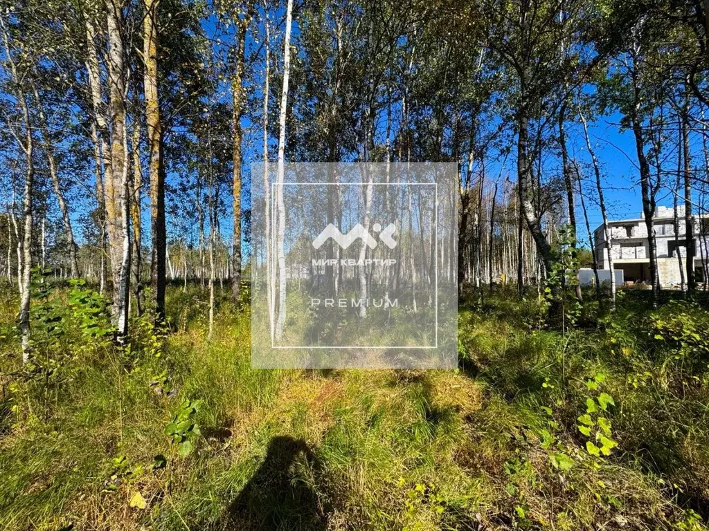 Участок в Санкт-Петербург, Санкт-Петербург, Павловск Березовая ул. ... - Фото 1