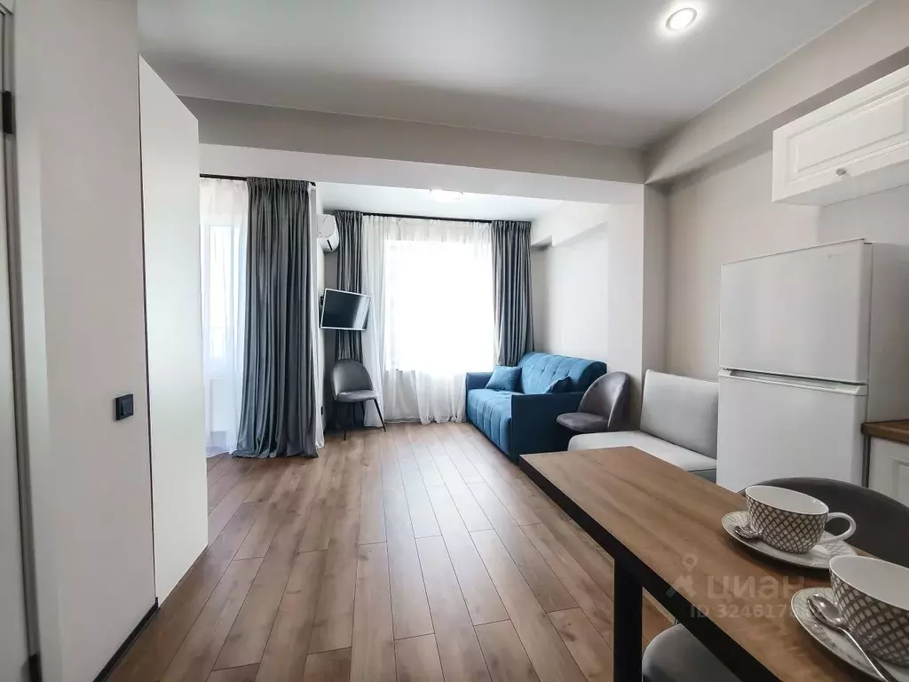 Студия Краснодарский край, Сочи городской округ, Дагомыс пгт ул. ... - Фото 2