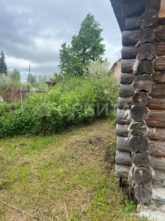 Дом в Тюменская область, Нижнетавдинский район, Мечта ДНТ ул. 6-я (10 ... - Фото 1