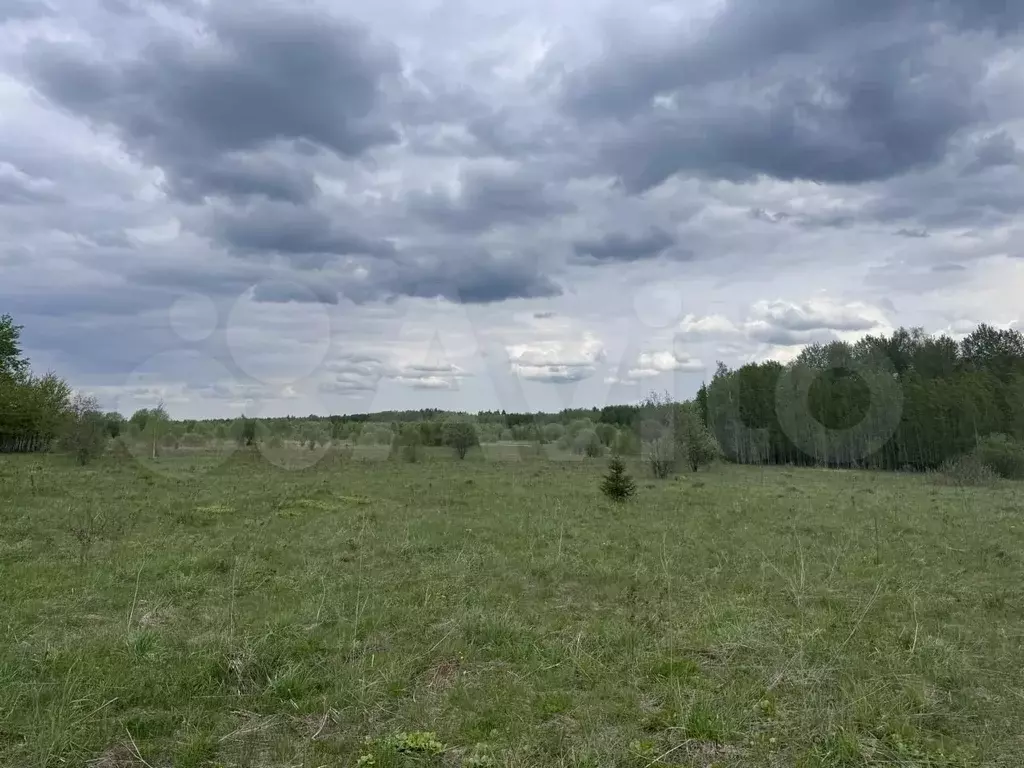 Участок 6 сот. (СНТ, ДНП) - Фото 0