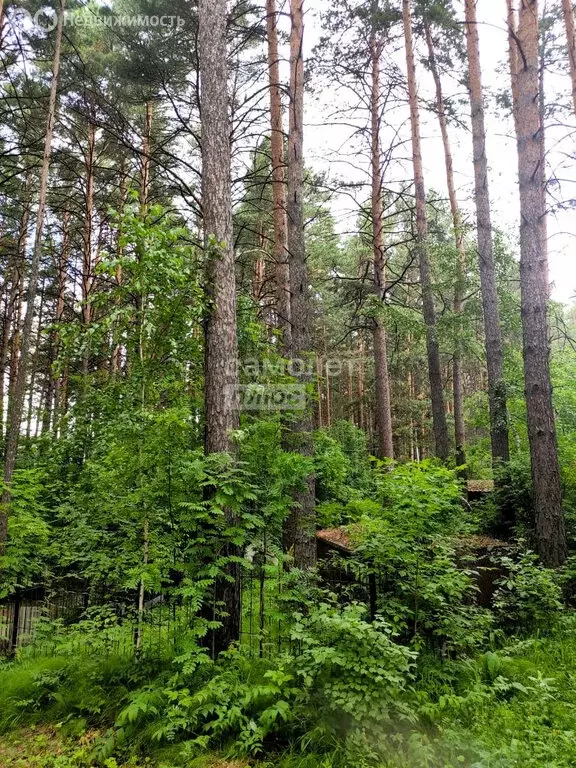 Участок в Новосибирск, садовое товарищество Отдых-1 (4.54 м) - Фото 0