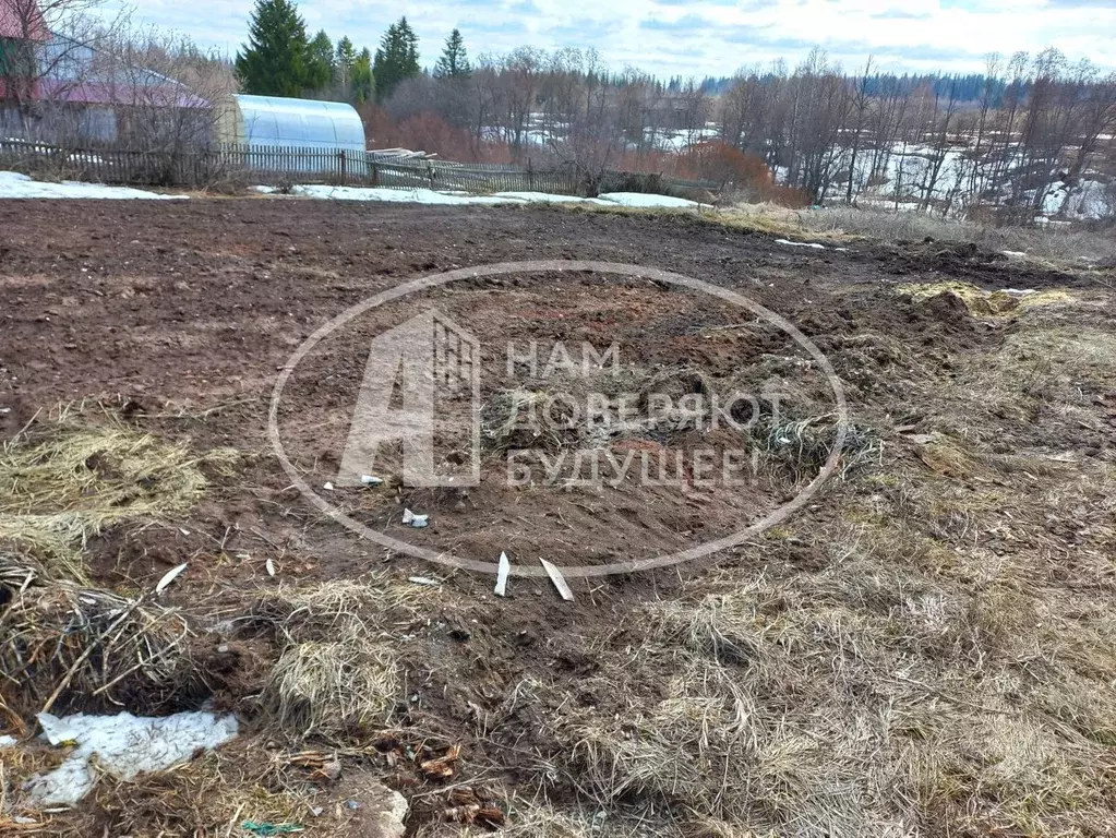 Участок в Пермский край, Чернушинский муниципальный округ, с. Деменево ... - Фото 1