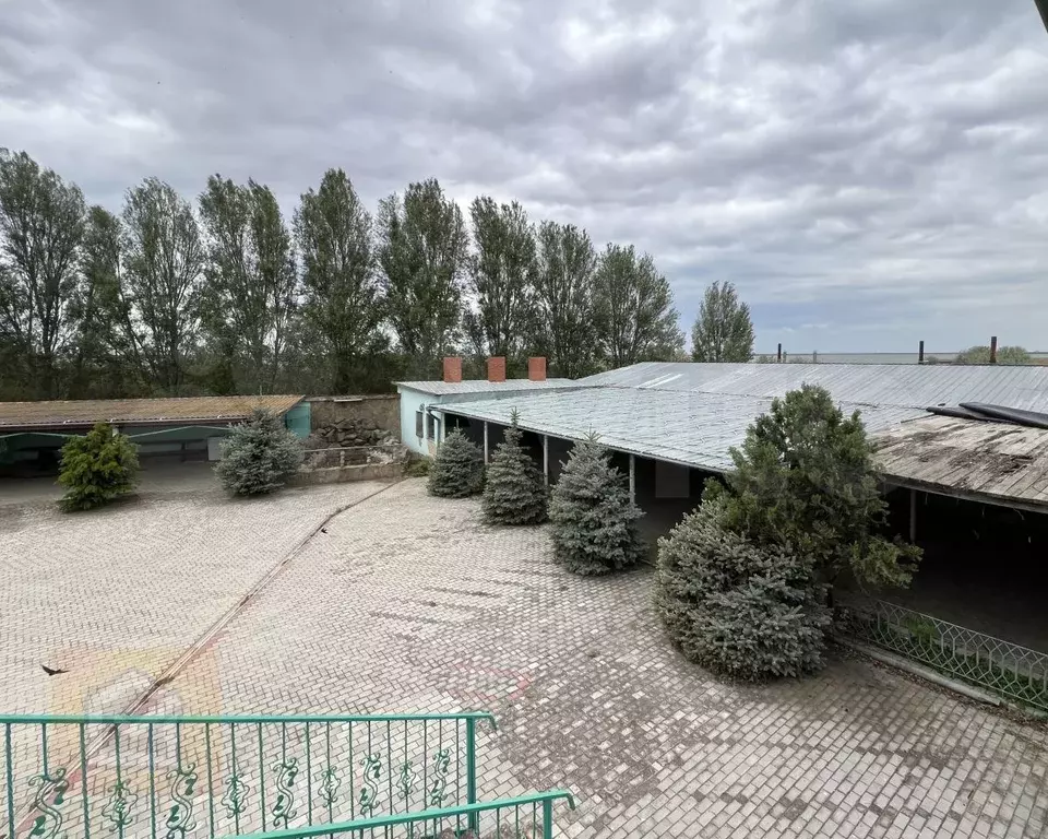 Дом 700 м на участке 25 сот. - Фото 0