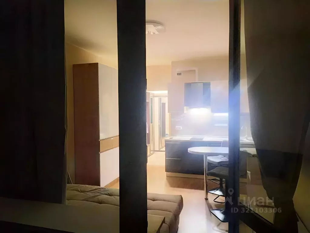 Студия Ленинградская область, Всеволожский район, д. Новое Девяткино ... - Фото 2