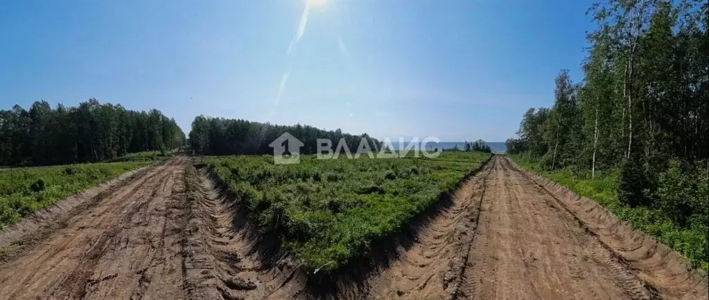 Участок в Ярославская область, Рыбинский муниципальный округ, д. ... - Фото 2