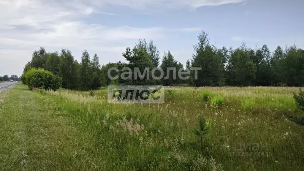 Участок в Нижегородская область, Чкаловск муниципальный округ, д. ... - Фото 2