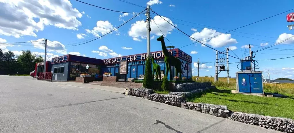 Участок в Ленинградская область, Ломоносовский район, Низинское с/пос, ... - Фото 1