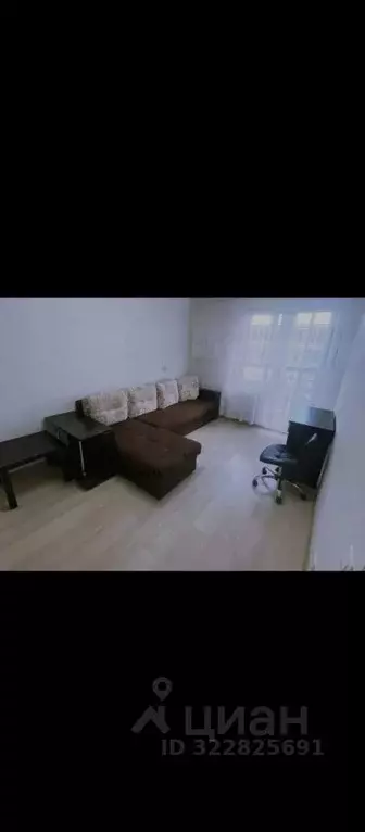 Студия Ивановская область, Иваново ул. Володарского, 1 (30.0 м) - Фото 2