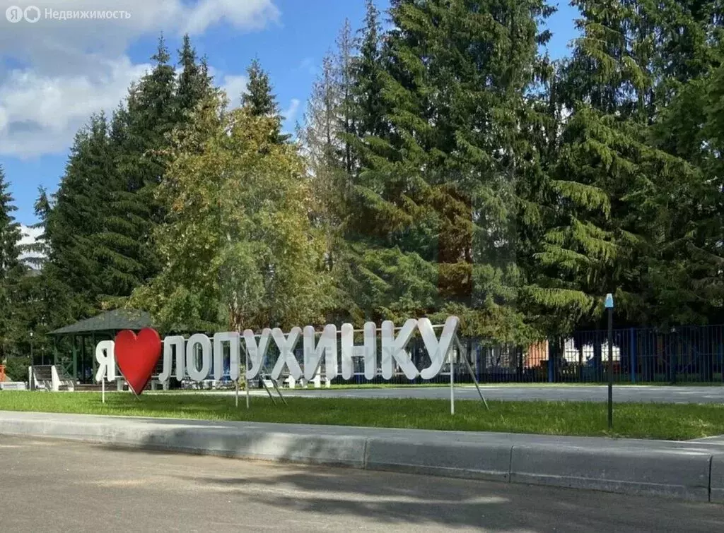 Участок в Лопухинское сельское поселение, участок Новые Медуши (5 м) - Фото 0