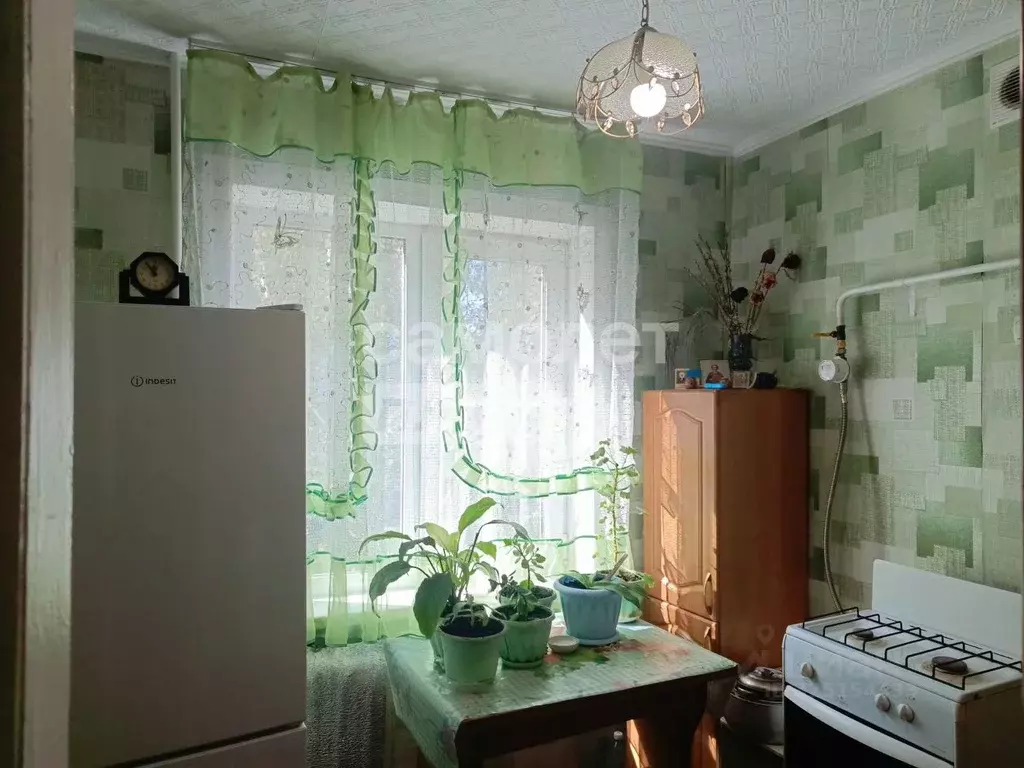 1-к кв. Алтайский край, Бийск ул. Петра Мерлина, 13 (30.8 м) - Фото 1