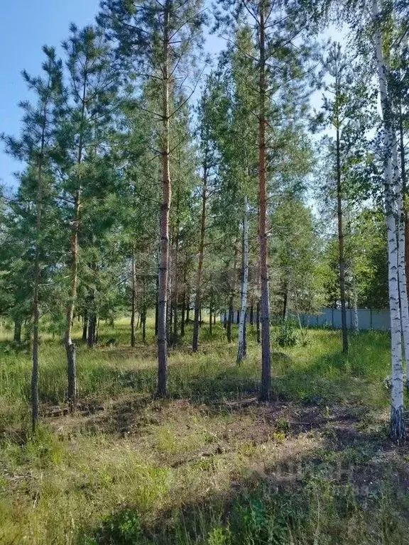 Участок в Воронежская область, Воронеж Большая Семья СНТ, ул. ... - Фото 1