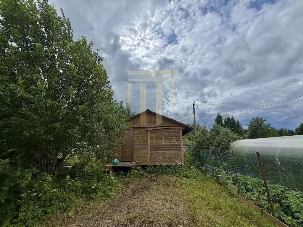Участок в Ленинградская область, Выборгский район, Рощинское городское ... - Фото 1