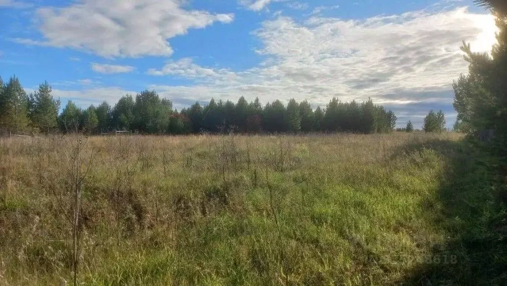 Участок в Иркутская область, Иркутский муниципальный округ, д. Ширяева ... - Фото 2