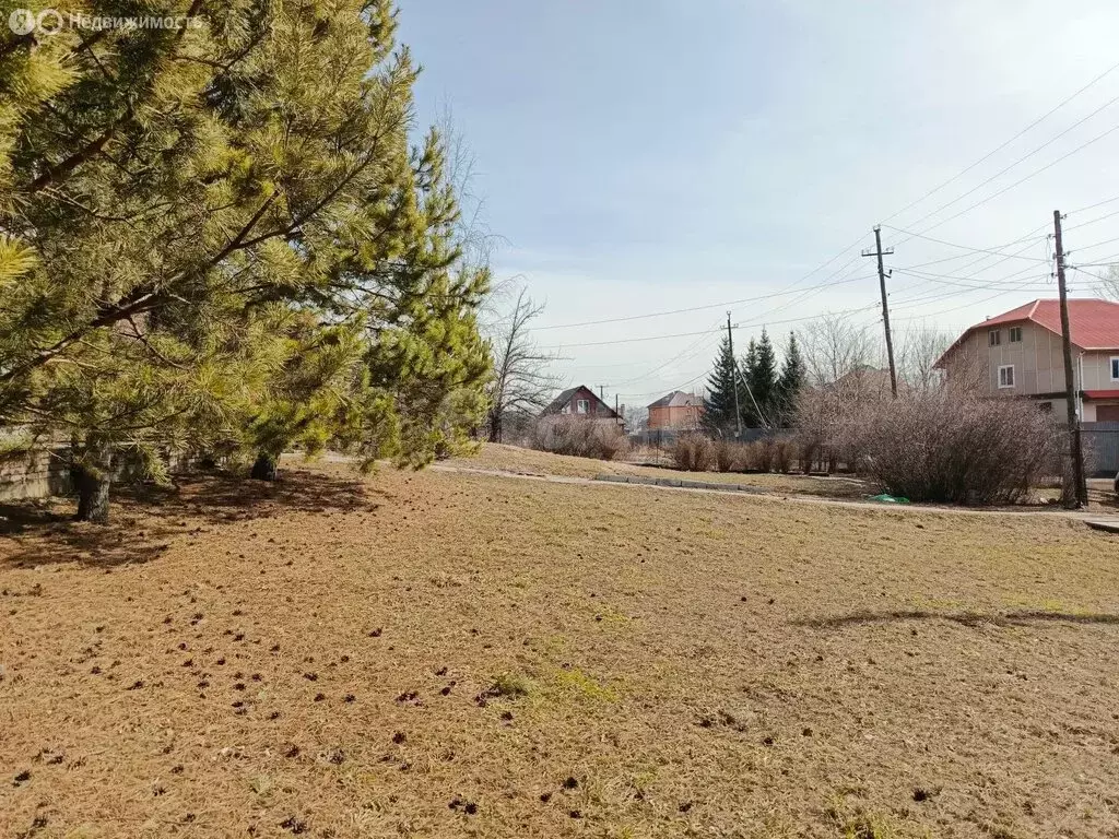 Участок в Красноярск, Лесная улица (14.76 м) - Фото 2