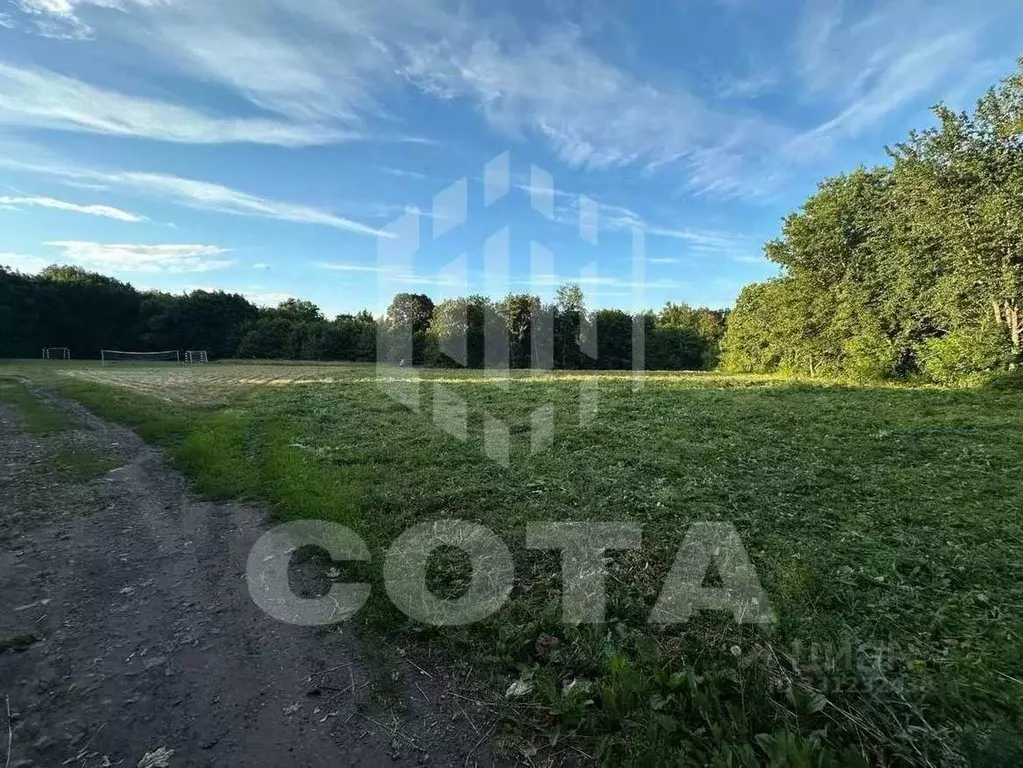Участок в Воронежская область, Новоусманский район, ... - Фото 2