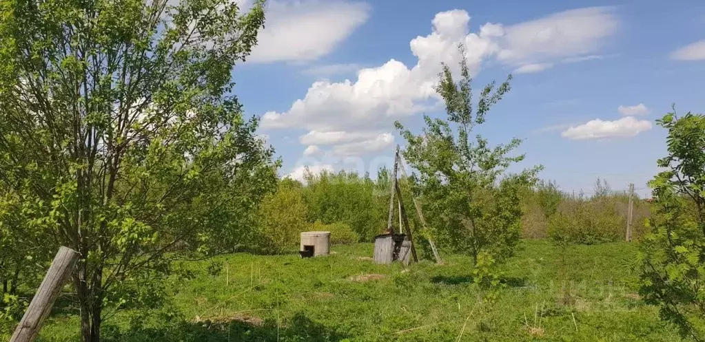 Участок в Нижегородская область, Богородский муниципальный округ, д. ... - Фото 0