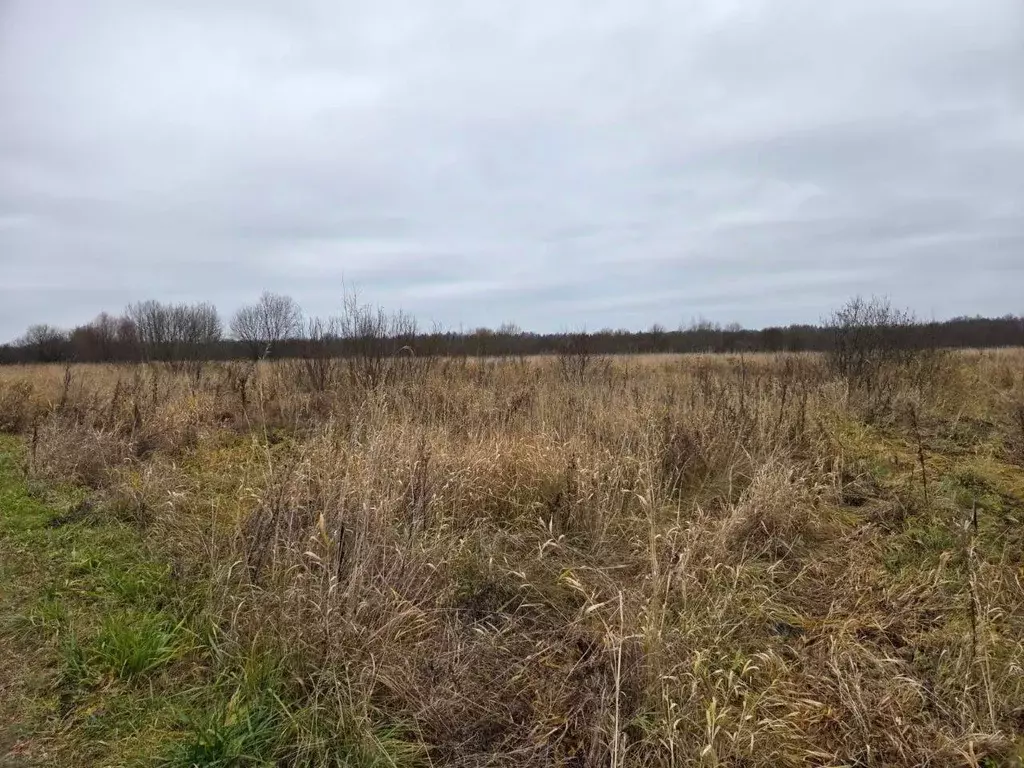 Участок в Ярославская область, Рыбинский муниципальный округ, д. ... - Фото 1