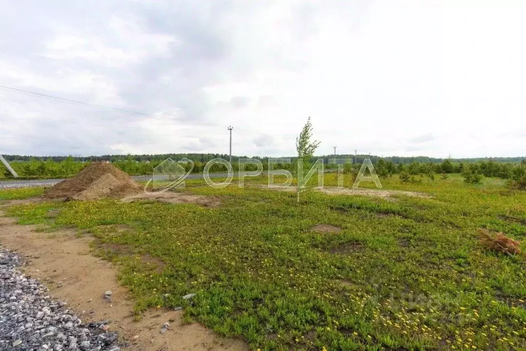 Участок в Тюменская область, Тюменский муниципальный округ, с. Кулига, ... - Фото 1