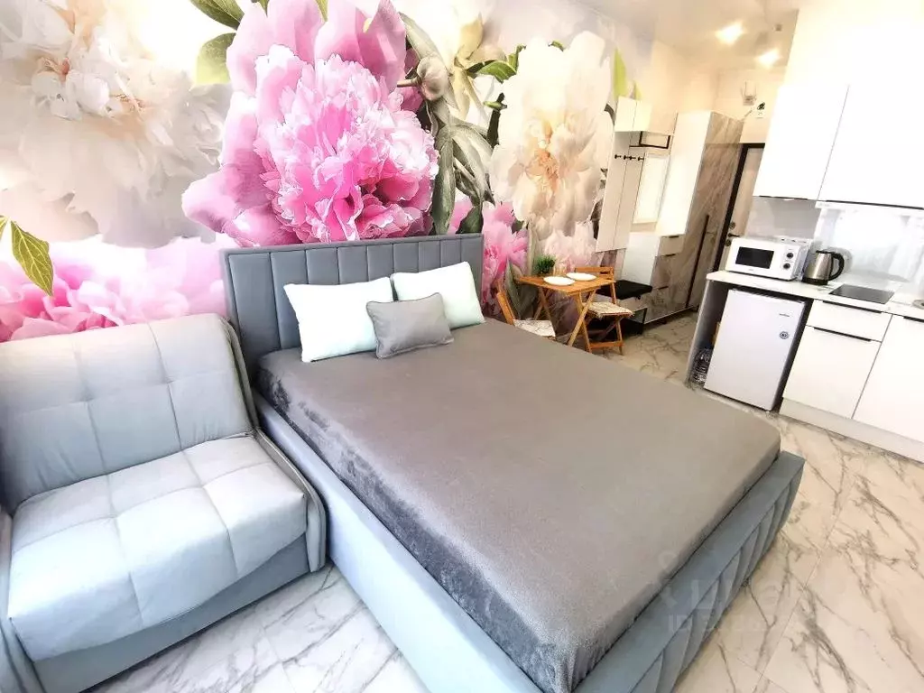 Студия Краснодарский край, Сочи ул. Ленина, 290/6 (21.0 м) - Фото 1