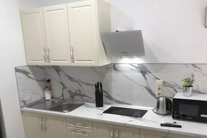 1-к кв. Краснодарский край, Сочи ул. Удачи, 14 (30.0 м) - Фото 1