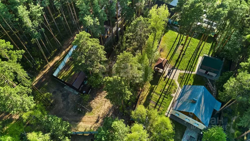 Участок в Томская область, Шегарский район, Гармония СНТ  (8.0 сот.) - Фото 1