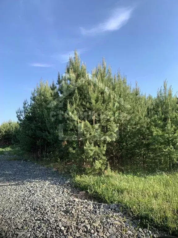 Участок в Свердловская область, Екатеринбург Аэродром ДНП, ул. ... - Фото 0